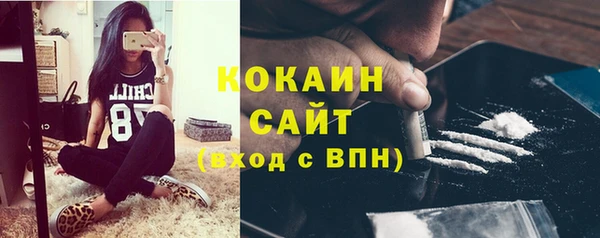 apvp Алексин