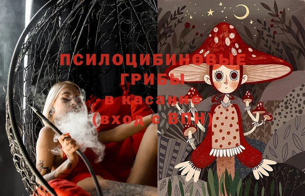 apvp Алексин