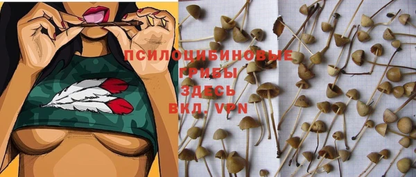 2c-b Алексеевка