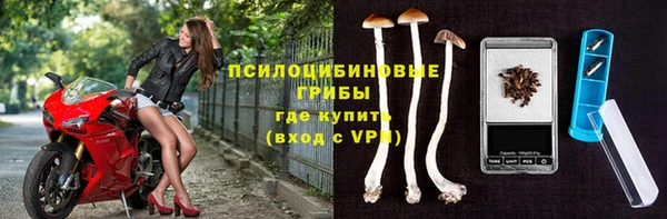 apvp Алексин